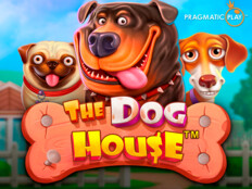 Para kazandıran köpek oyunu. Golden online casino.66